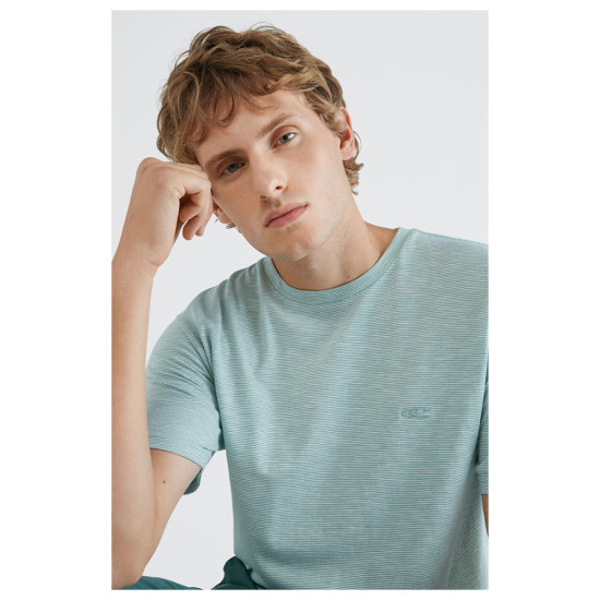 O'neill Ανδρική κοντομάνικη μπλούζα Mini Stripe T-Shirt O'neill Ανδρική κοντομάνικη μπλούζα Mini Stripe T-Shirt